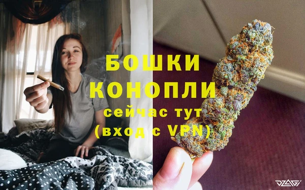 тгк Гусиноозёрск