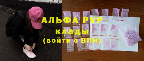 тгк Гусев