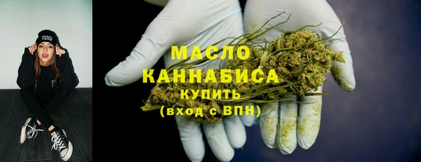 тгк Гусев