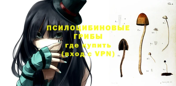 тгк Гусев