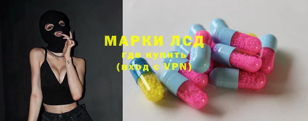тгк Гусев