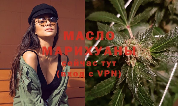 тгк Гусев