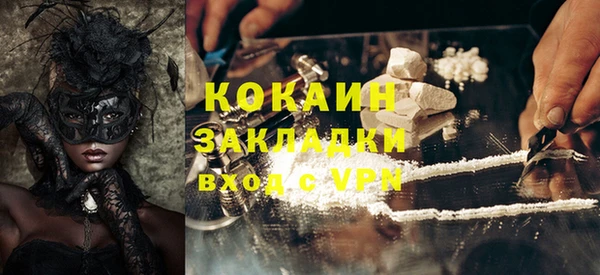 тгк Гусев