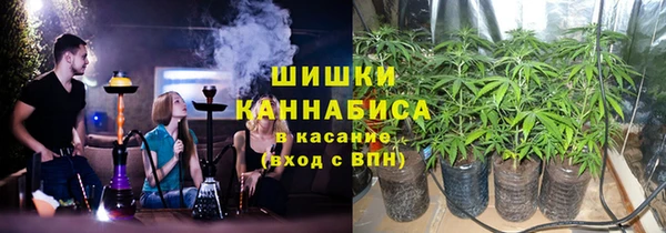 тгк Гусев