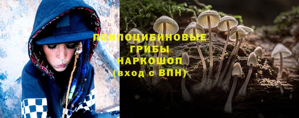 тгк Гусев
