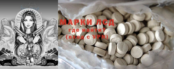 тгк Гусев