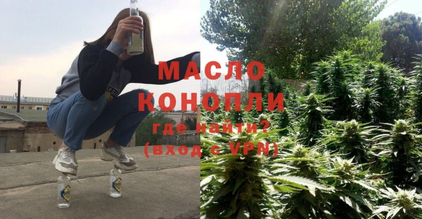тгк Гусев