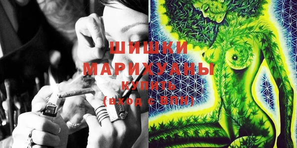 тгк Гусев