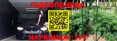 PSILOCYBIN Комсомольск-на-Амуре