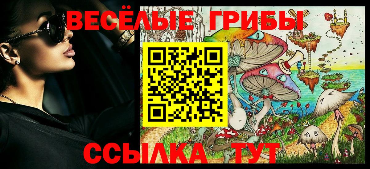 Галлюциногенные грибы Magic Shrooms  Вход с VPN  Симферополь  Галлюциногенные грибы Psilocybine cubensis 