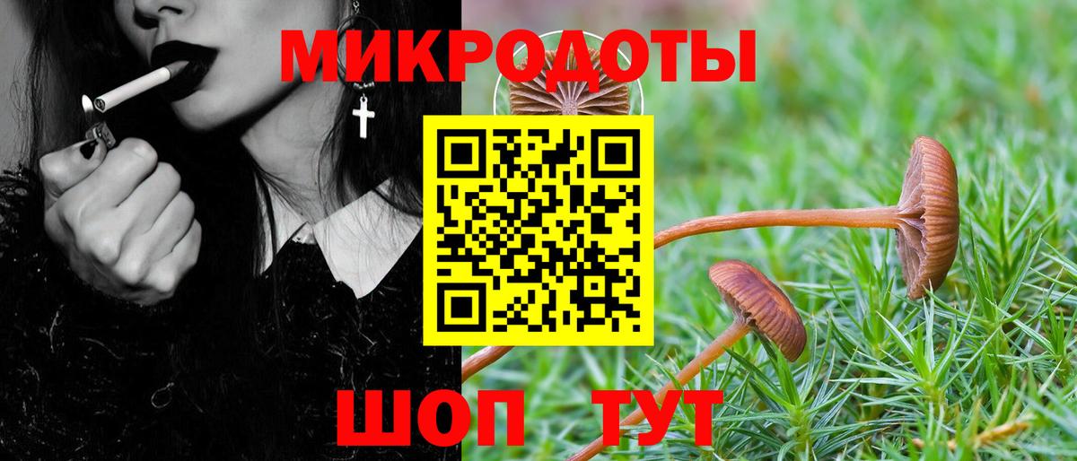 Галлюциногенные грибы Psilocybine cubensis Симферополь